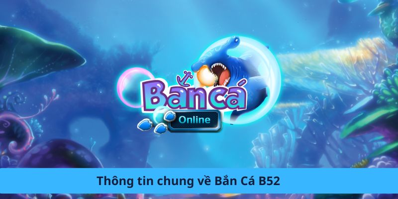 Thông tin chung về bắn cá b52