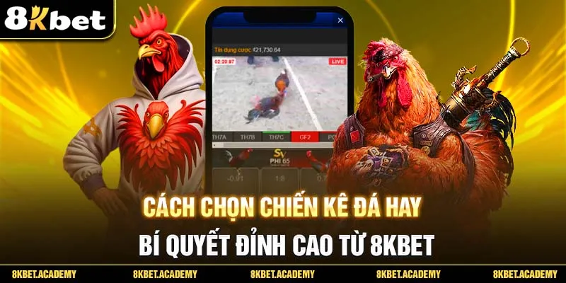 cách chọn chiến kê