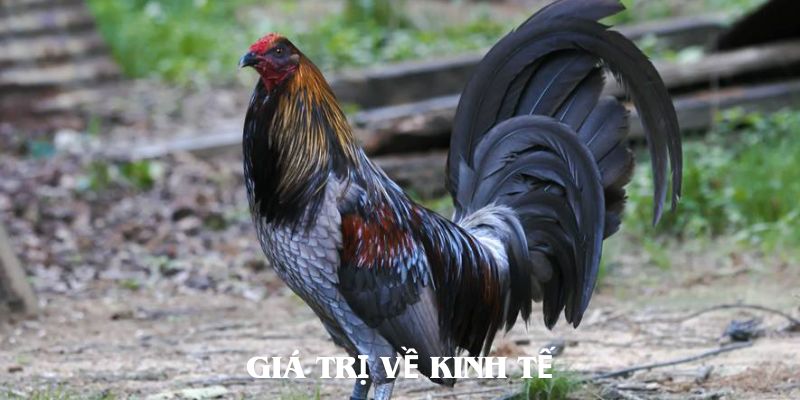 Giá trị về mặt kinh tế